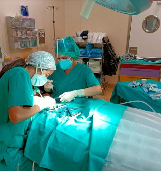 sedacion-hospitalaria-dental